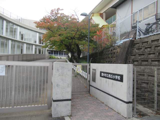 豊中市立西丘小学校 420m 写真撮影日：2026-10-05