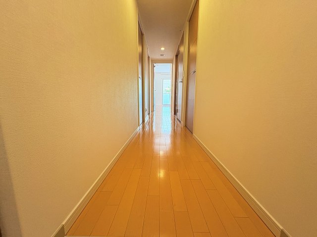 その他現地  写真撮影日：2026-10-08