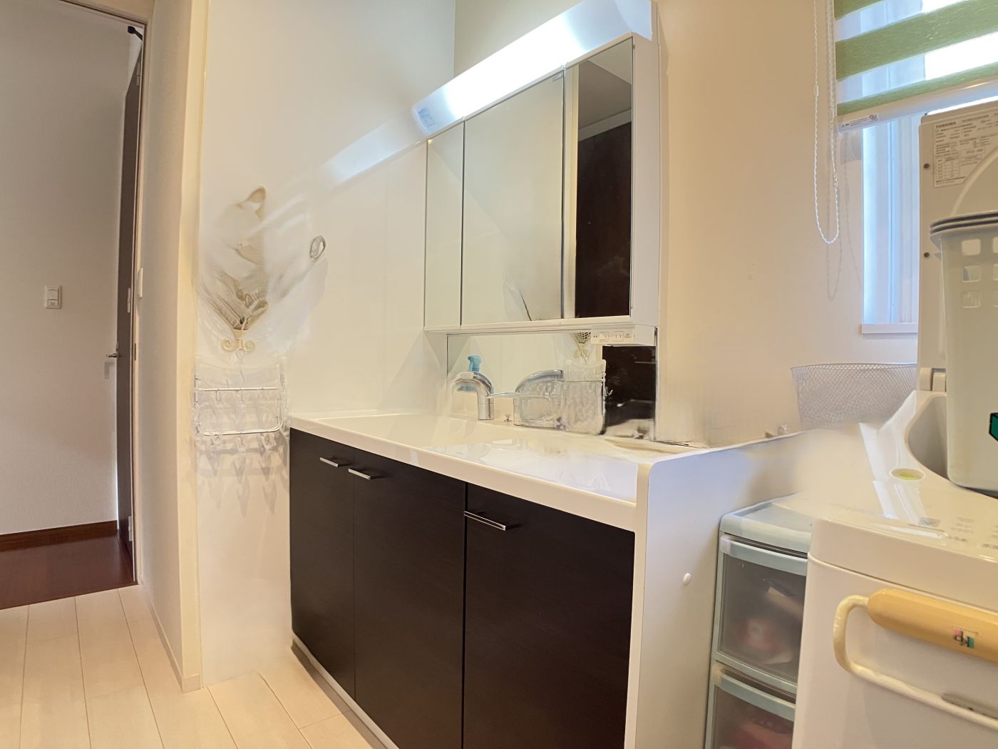 洗面室 写真撮影日：12/6/25, 12:00 AM