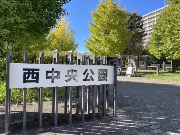 西中央公園 300m 写真撮影日：2024-11-21 