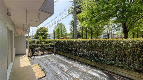 専用庭（２０２５年４月撮影）