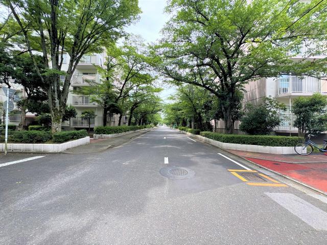 その他  写真撮影日：2025-07-03