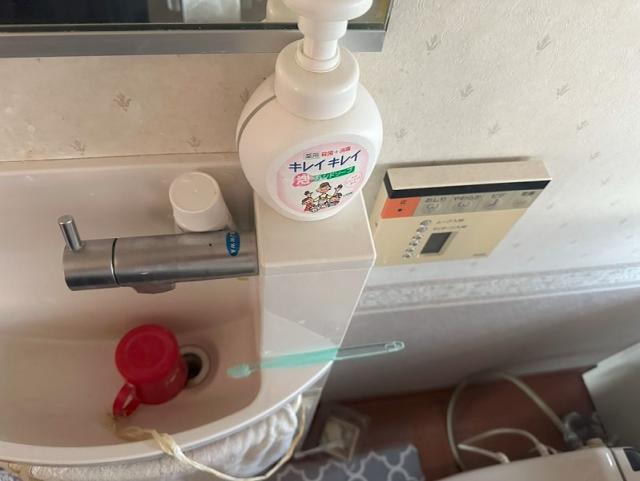その他設備 1Fトイレ  写真撮影日：2025-06-30