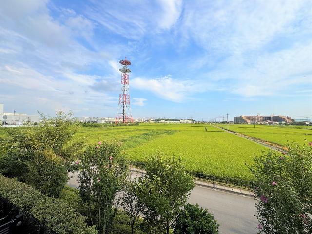 住戸からの眺望写真  写真撮影日：2025-08-09