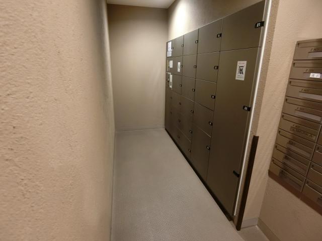 その他  写真撮影日：2025-09-14