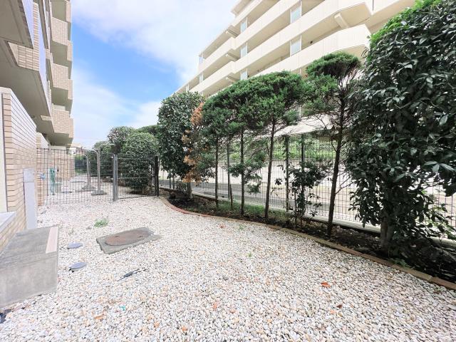 庭  写真撮影日：2025-09-18