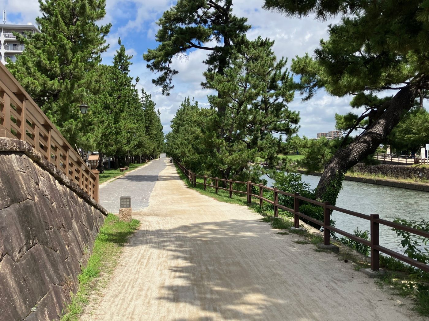 草加松原遊歩道 写真撮影日：7/1/25, 12:00 AM