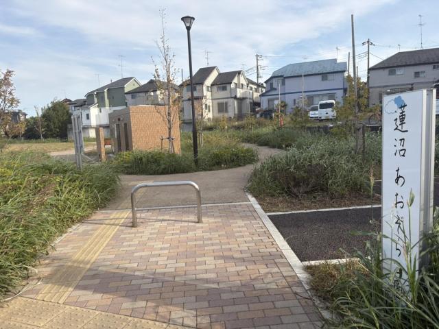 蓮沼あおぞら公園 500m 写真撮影日：2025-11-10