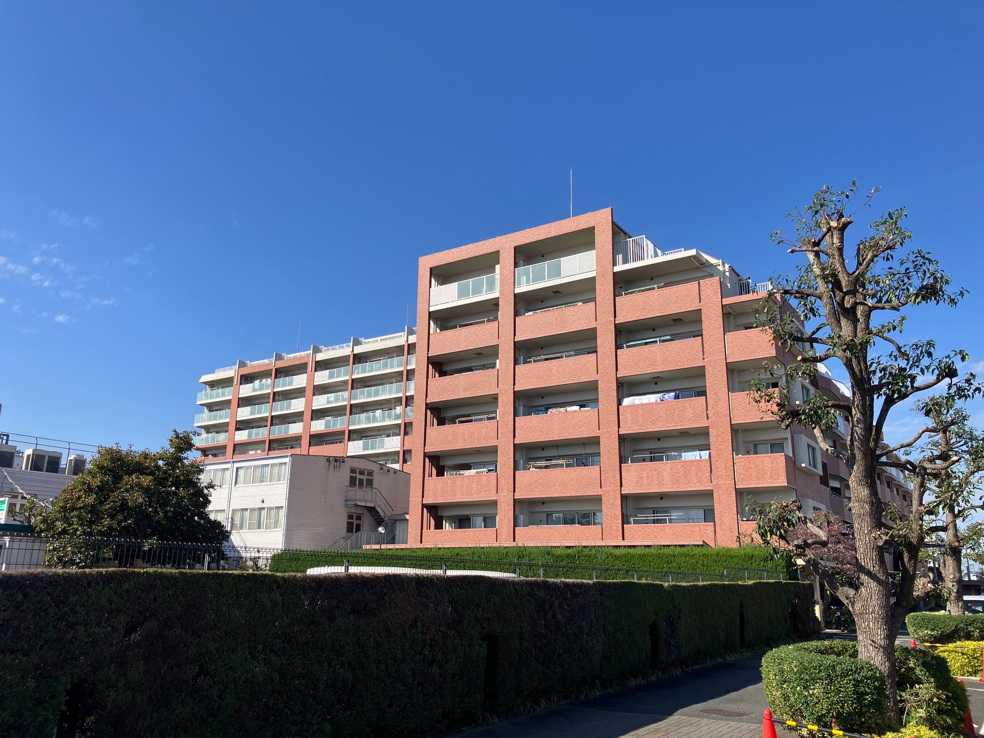 外観 写真撮影日：2025-11-01