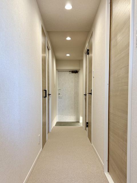 その他内観  写真撮影日：2025-11-22