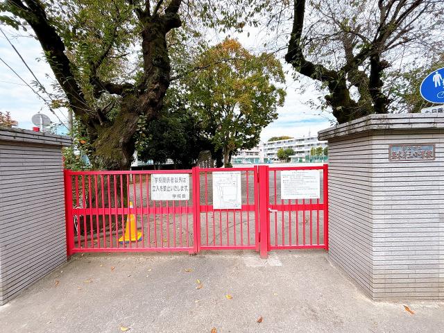 志木市立志木小学校 670m 写真撮影日：2025-11-16