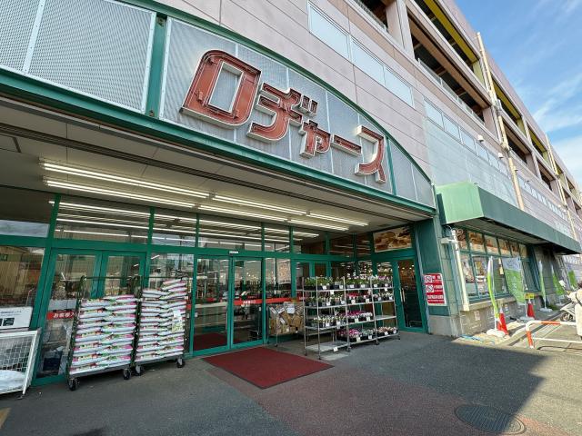 ロヂャース大成店 300m 写真撮影日：2025-12-01