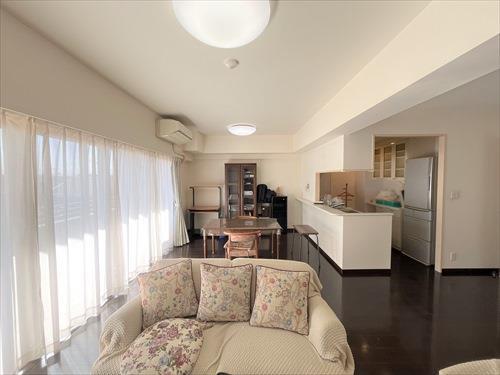 ＬＤ（２０２６年１月撮影）