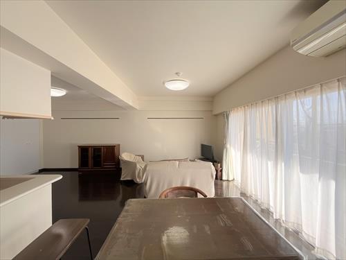 ＬＤ（２０２６年１月撮影）