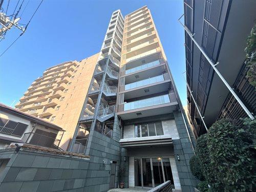 現地写真（２０２６年１月撮影）