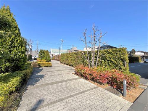 アプローチ‐２０２６年３月撮影