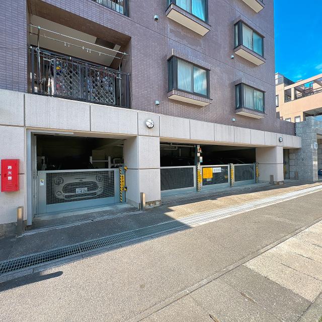 駐車場(共用設備)  写真撮影日：2026-03-08