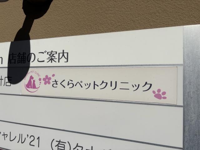 さくらペットクリニック 750m 写真撮影日：2026-03-05