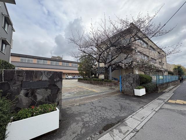 越谷市立南越谷小学校 290m 写真撮影日：2026-03-26