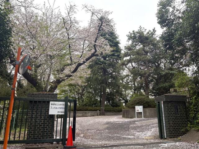 川口市立芝中学校 1700m 写真撮影日：2026-04-06