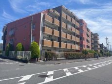 現地写真（２０２６年５月撮影）