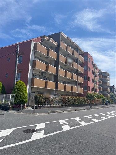 現地写真（２０２６年５月撮影）