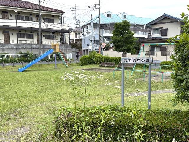 海老沼中公園 476m 写真撮影日：2026-06-04