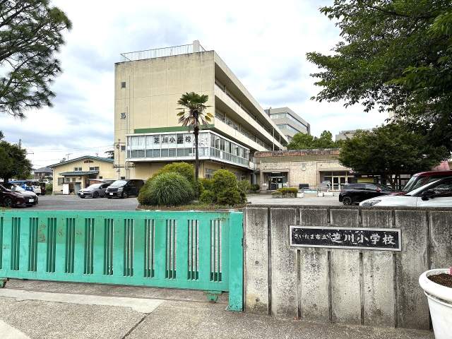 さいたま市立芝川章田子 1100m 写真撮影日：2026-06-04