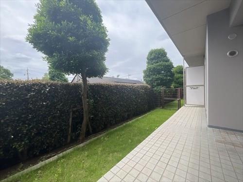 専用庭（Ｒ８年６月撮影）