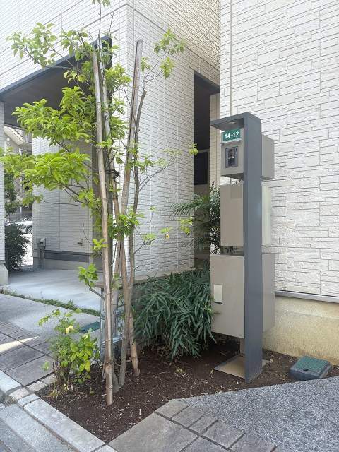 玄関  写真撮影日：2026-06-18