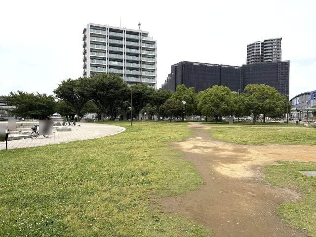 におどり公園 500m 写真撮影日：2026-06-20