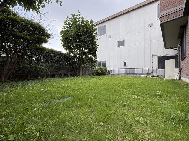 庭  写真撮影日：2026-07-25