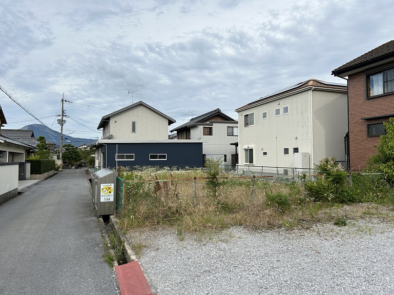 現地 写真撮影日：7/1/24, 12:00 AM