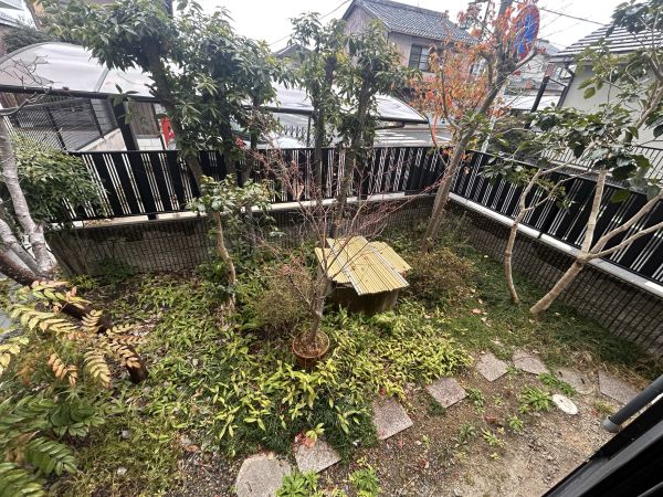 庭  写真撮影日：2025-01-23