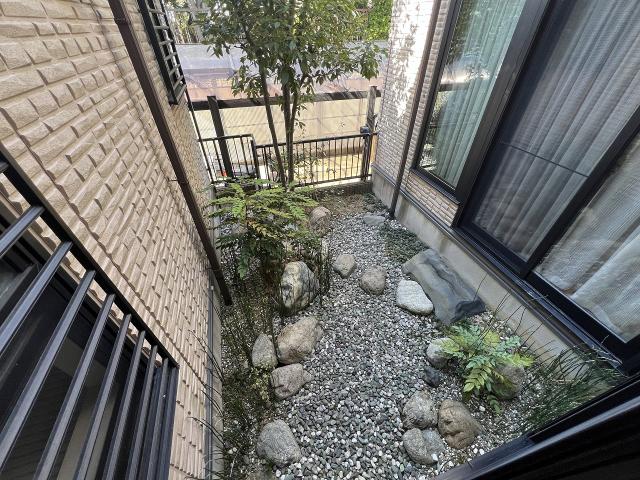 庭  写真撮影日：2025-09-19