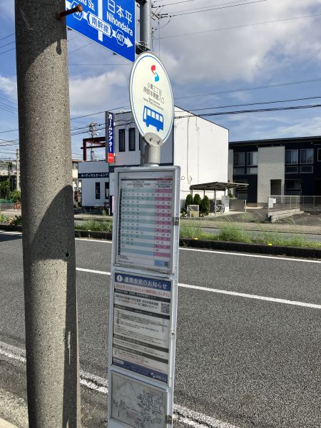その他  写真撮影日：2024-09-20