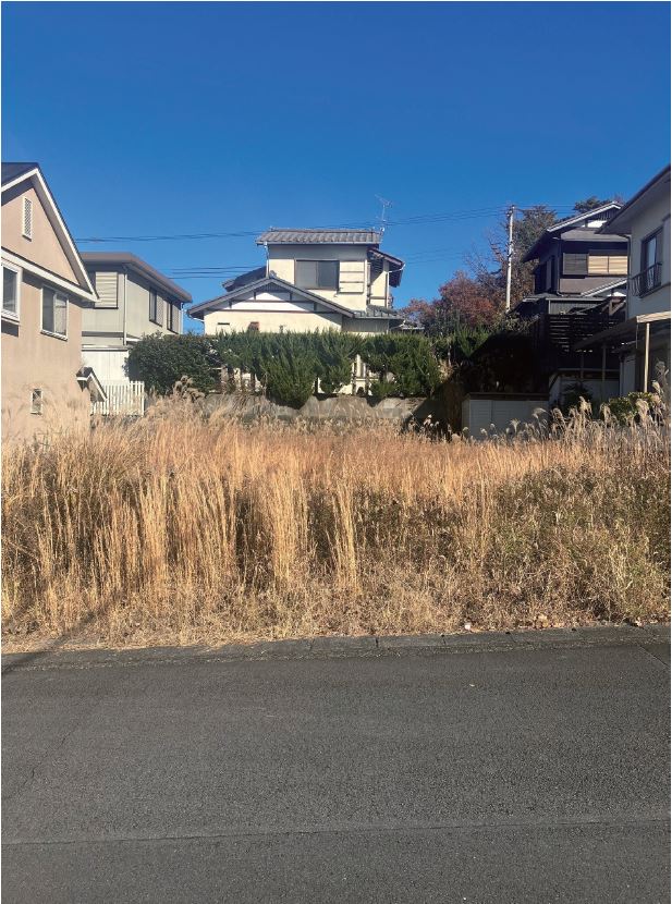 撮影年月：令和6年12月