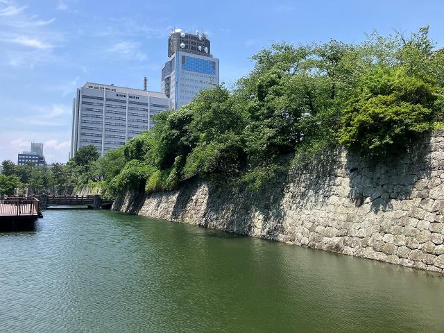 駿府城公園 300m 写真撮影日：2025-06-20