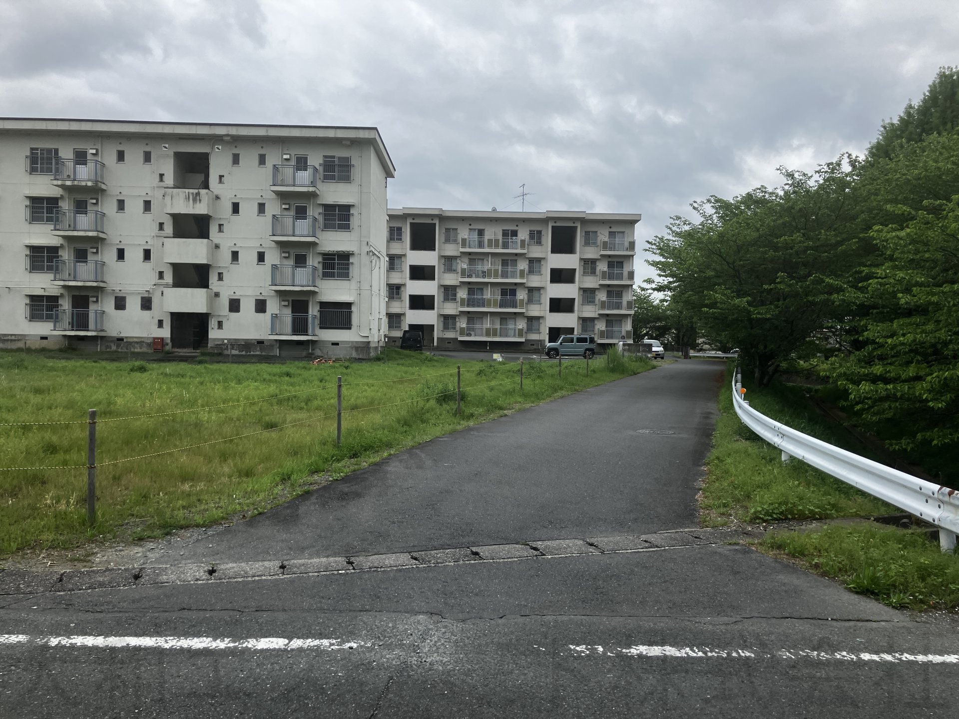 現地写真