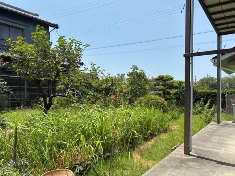 庭