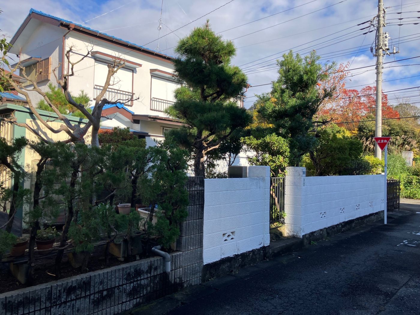 現地写真（2024年11月撮影）