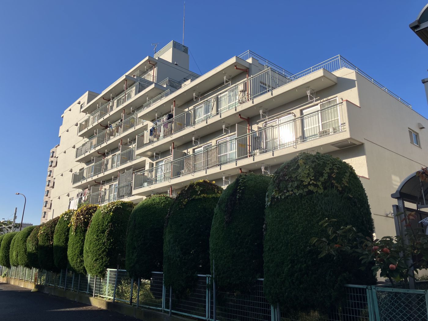 外観（2024年11月撮影）