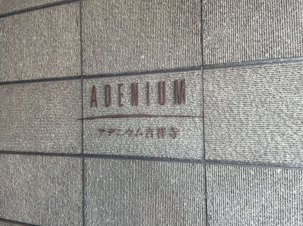 その他外観