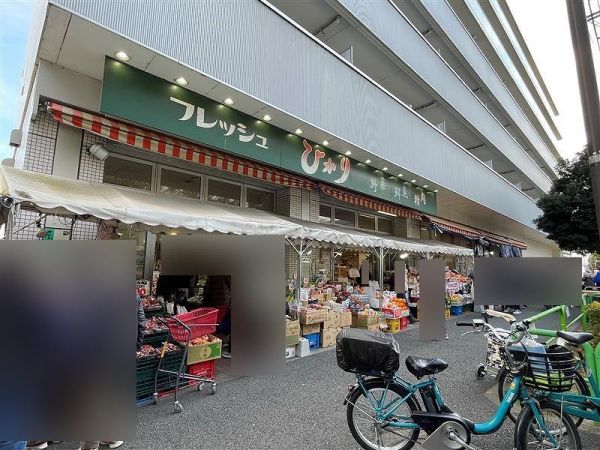 フレッシュひかり 150m 写真撮影日：2025-01-20 