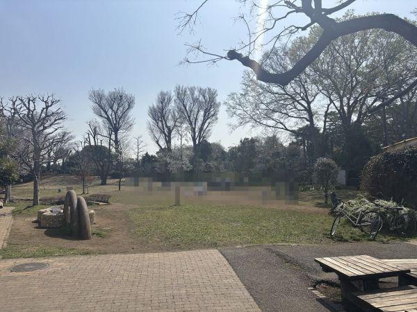 世田谷区立ねこじゃらし公園 550m 写真撮影日：2025-03-21 