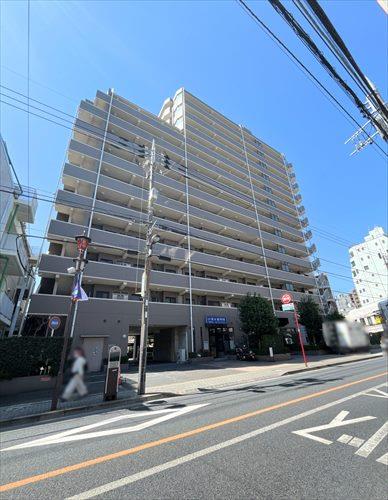 現地（２０２５年４月撮影）