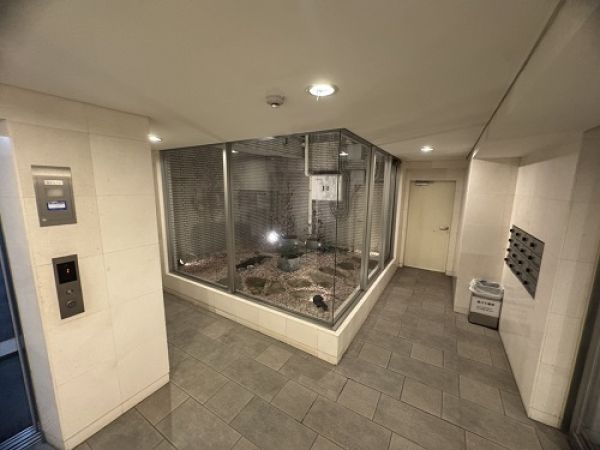 その他内観  写真撮影日：2025-05-01