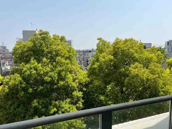 上馬二丁目公園へ約190m、世田谷区立上馬公園へ約250m。自然を身近に感じられる穏やかな住環境。