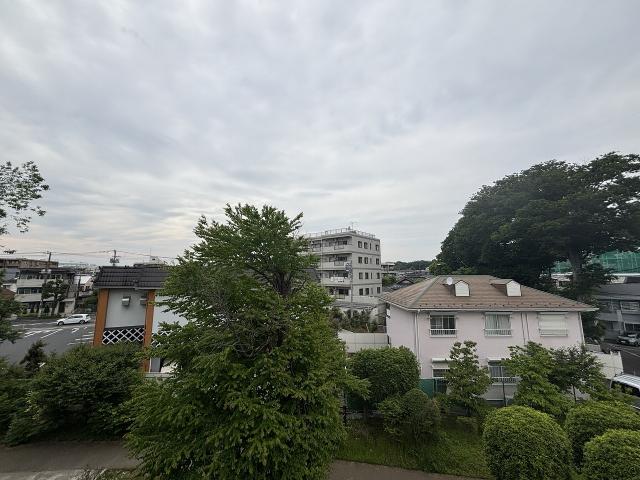 その他現地  写真撮影日：2025-05-16