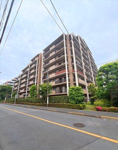 現地（２０２５年５月撮影）